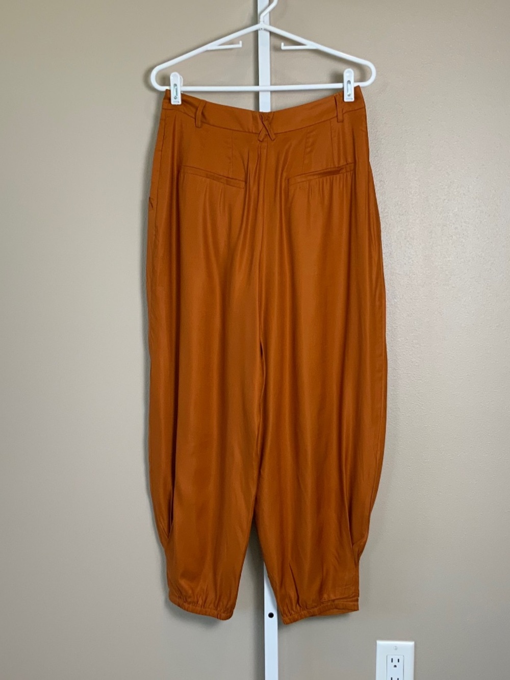 Anthropologie Astrid Pleated Harem Pants - Picture 12 of 16